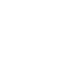 Apple Music icon