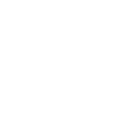 Tidal icon